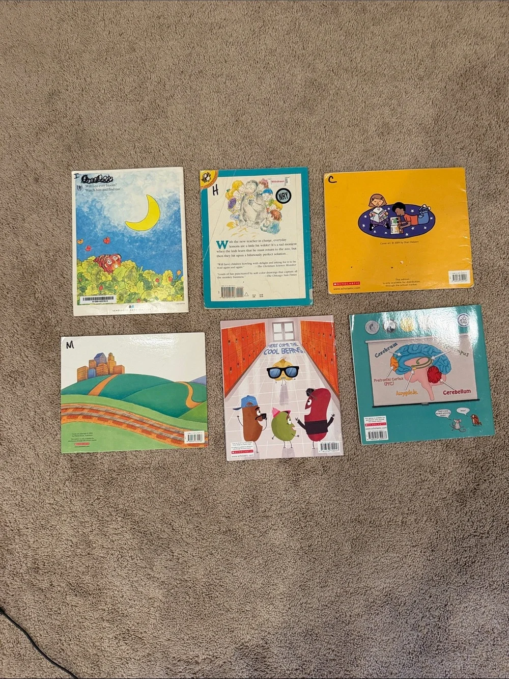 Book Bundle for Elementary Classroom